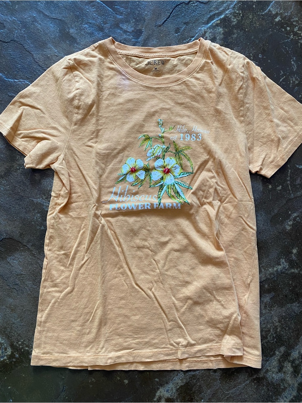 J Crew tshirt